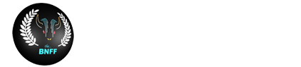 Buffalo Niagara Film Festival